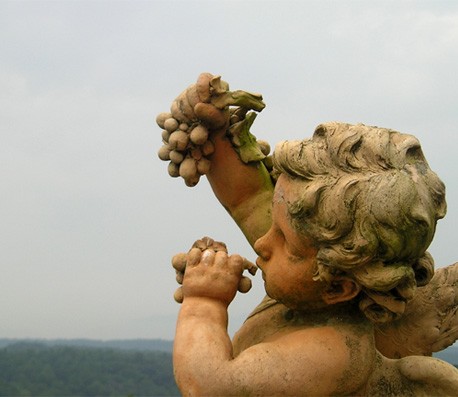 短信在线呼死你2023